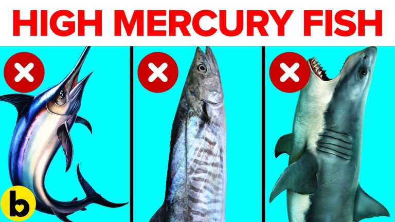 7 Fish That Can Contain High Levels Of Mercury