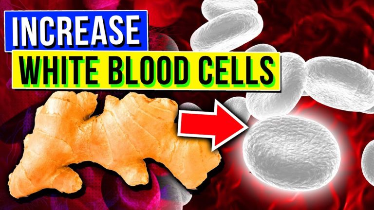 5 SUPERFOODS To Increase White Blood Cells Count & Boost Immunity